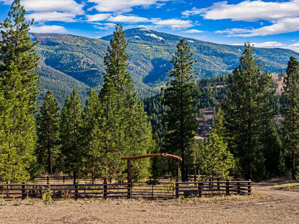 Plains