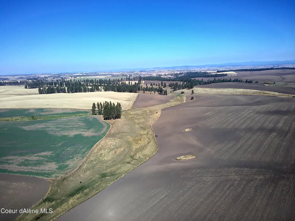 Craigmont