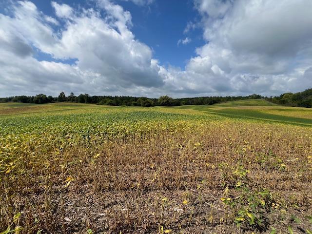 Edna Township MN