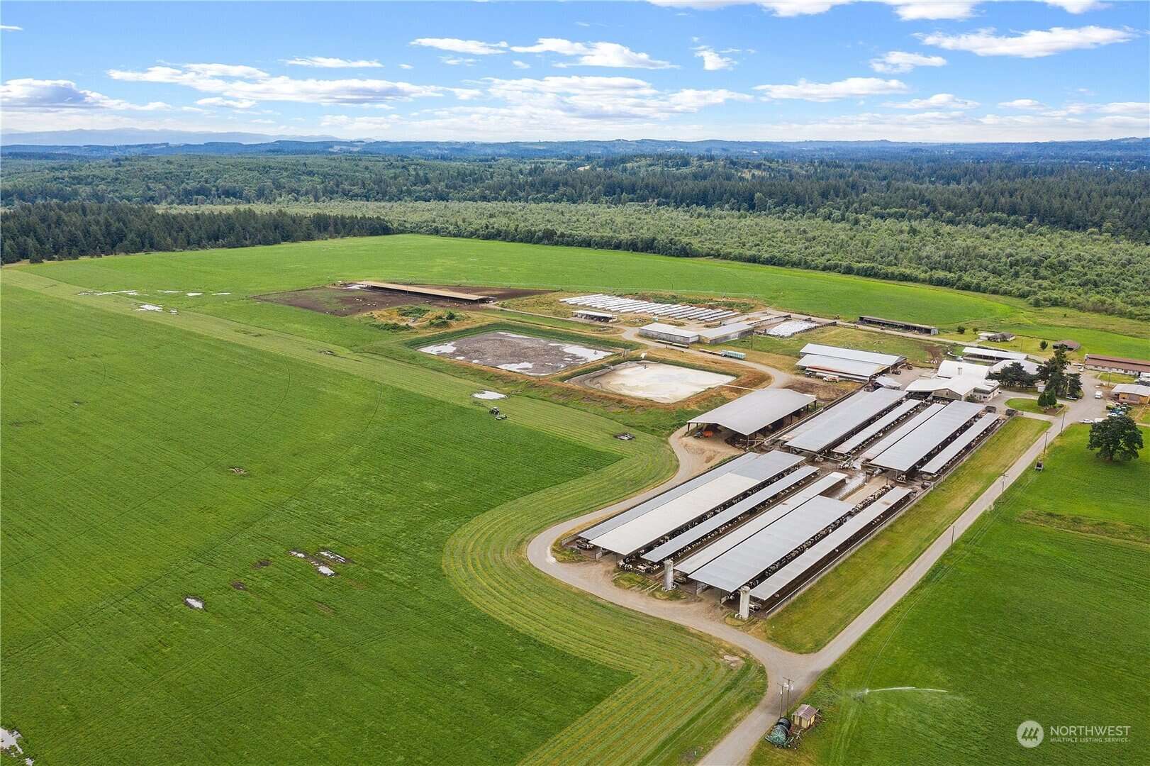 Olympia