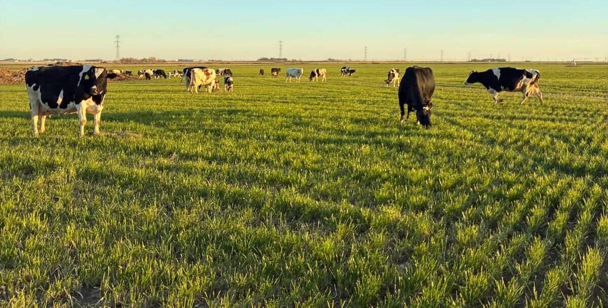 Listings for Evert VandeStroet