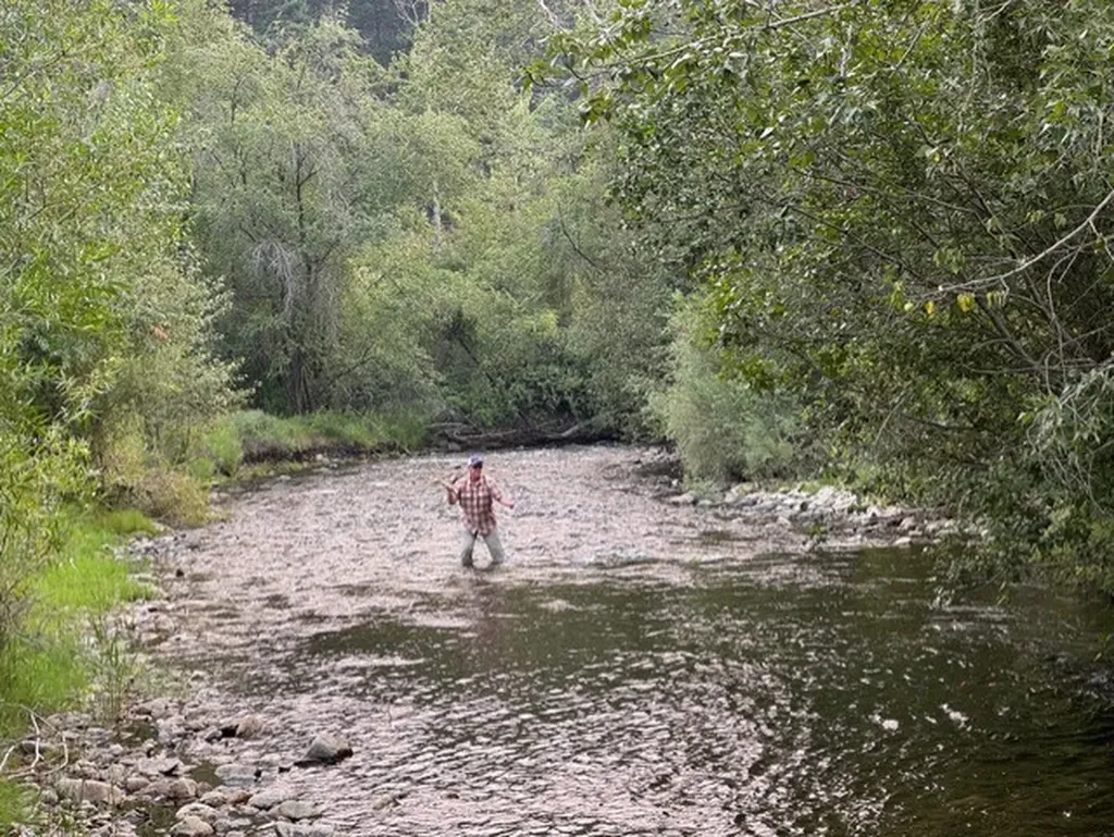 Ravalli
