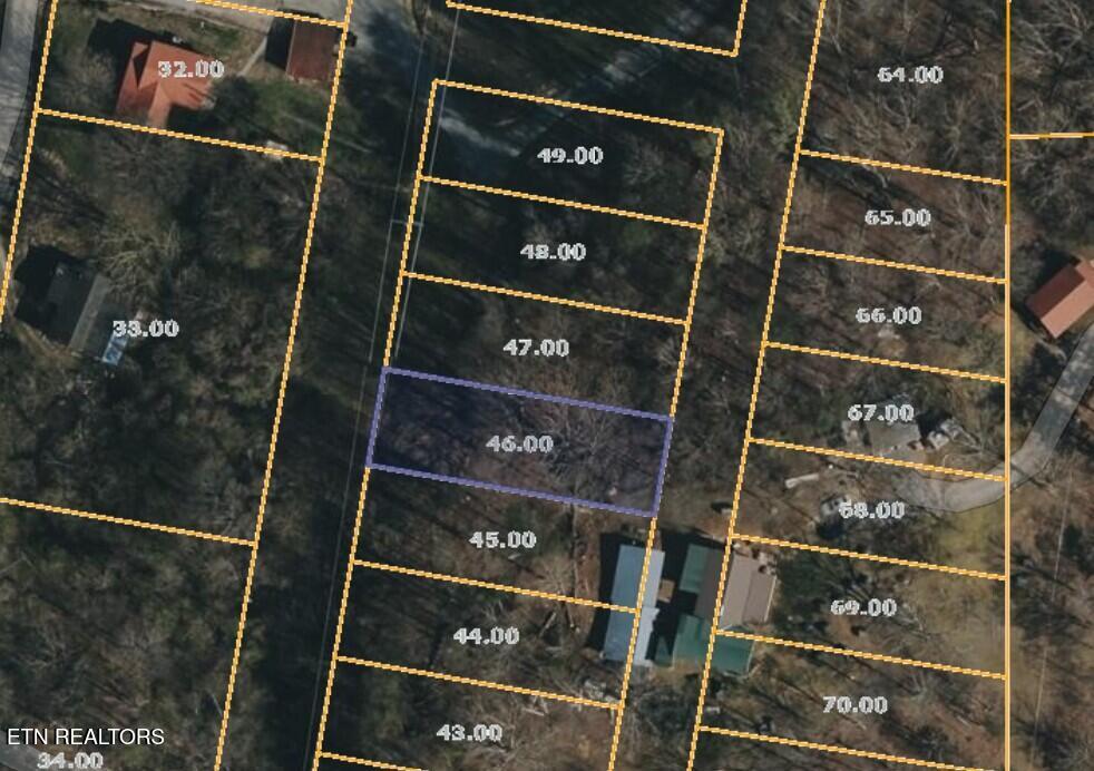Listings for Joy Henry