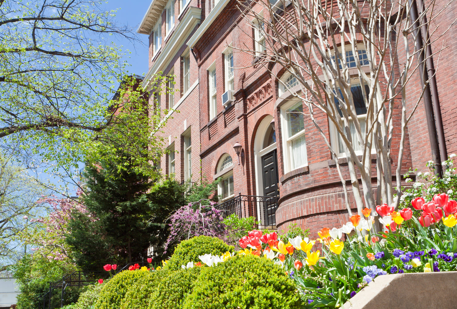 Kalorama & Adams Morgan