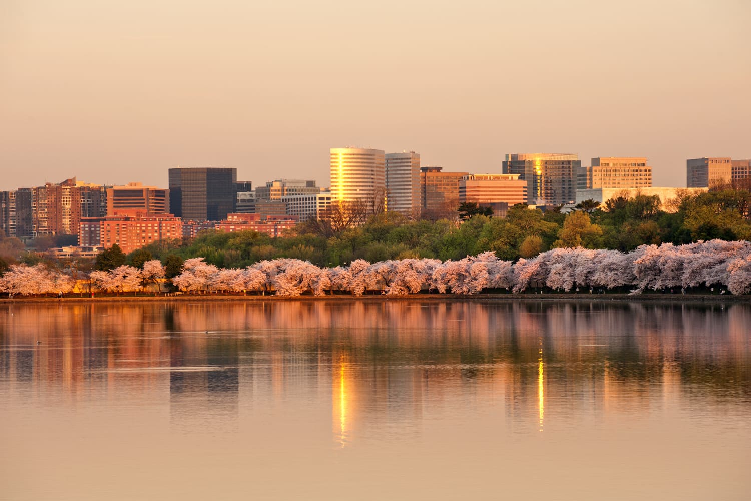 Arlington VA