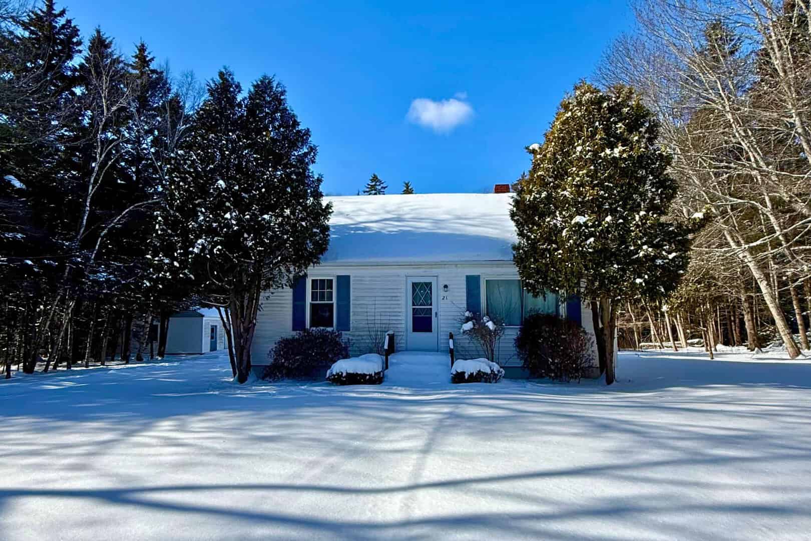 Listings for Chris Swan