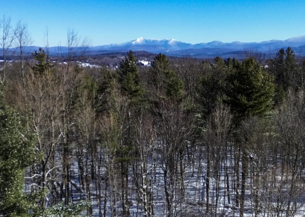 Williston