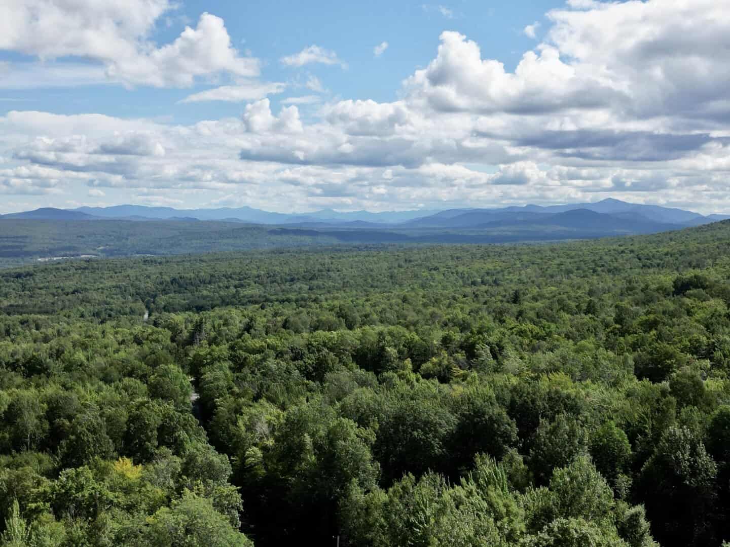 Saranac