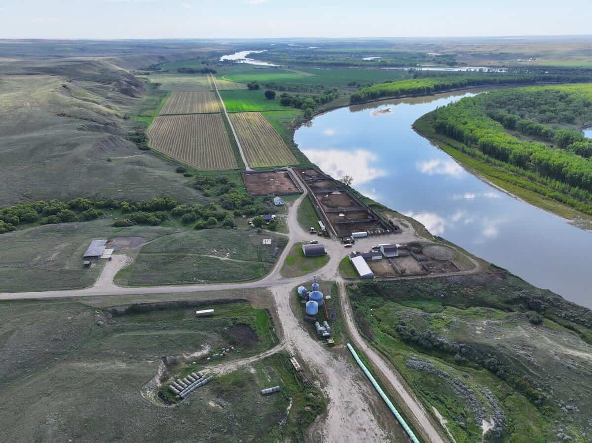 Ranch, Cattle, & Feed Yard Properties