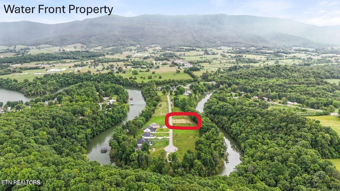 Listings for Marisa Street