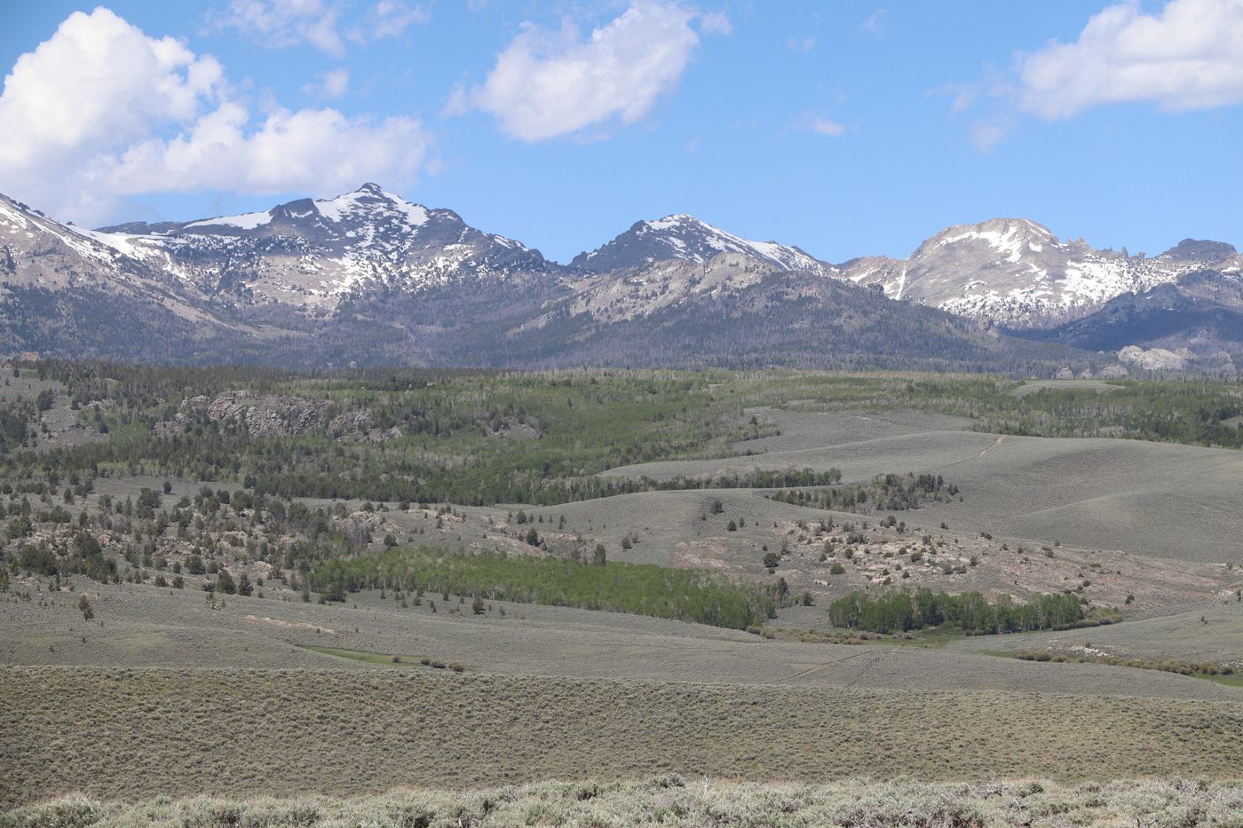500 - 1000 Acres