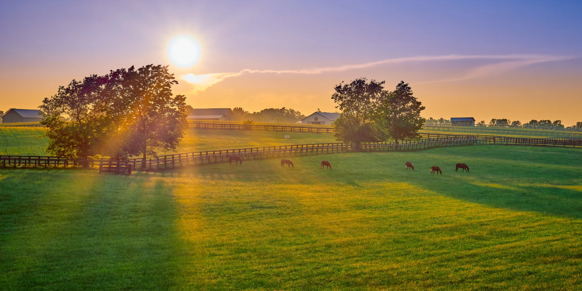 Equestrian & Farms