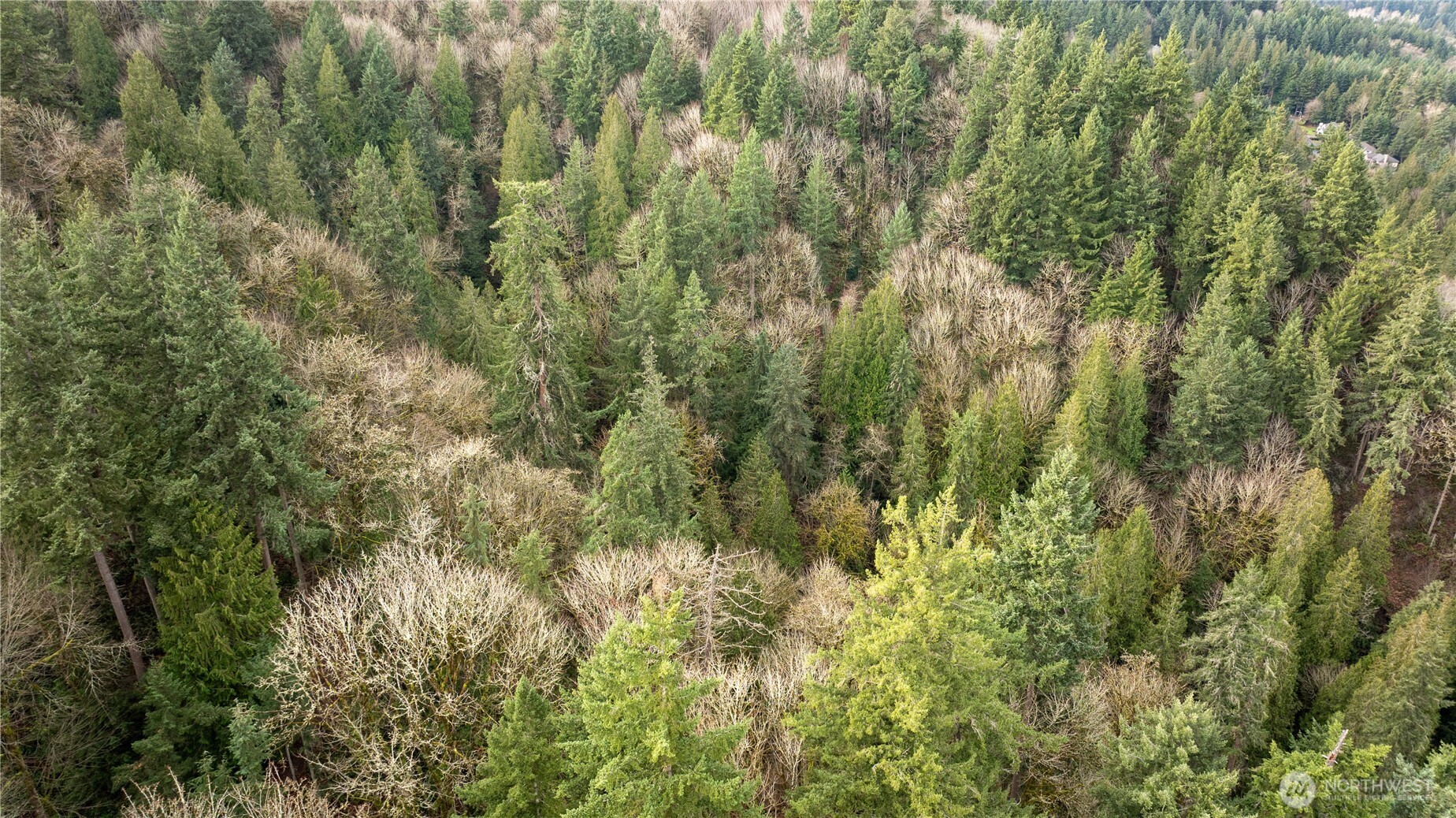 Issaquah