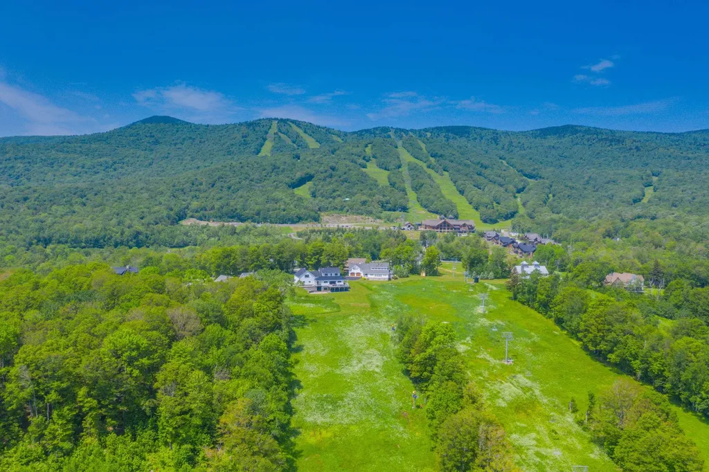 Active and Pending Houses in Wilmington VT