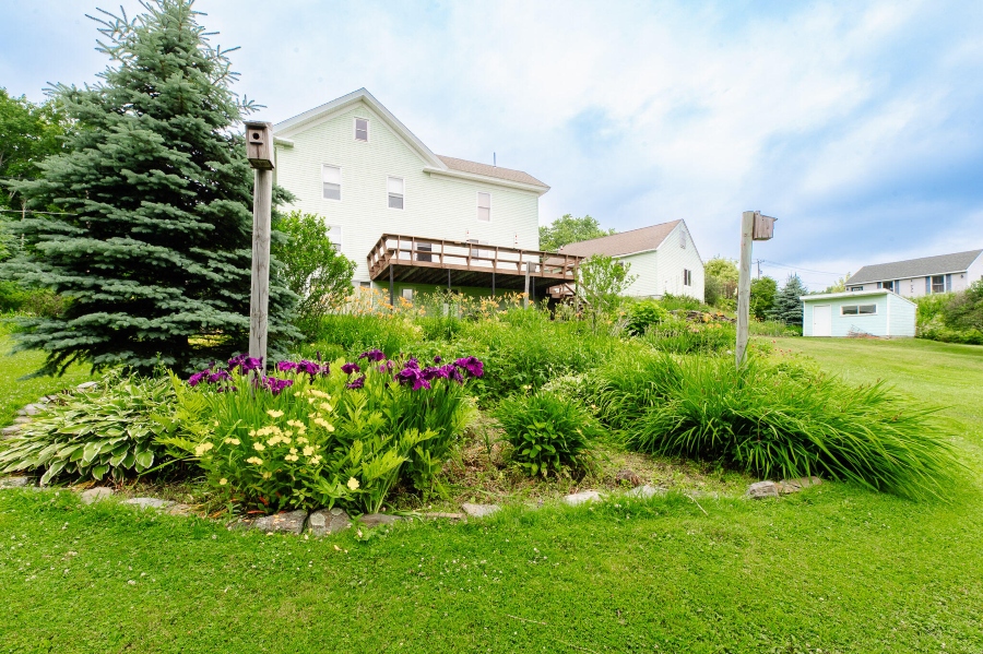 Listings for Andrew Davis