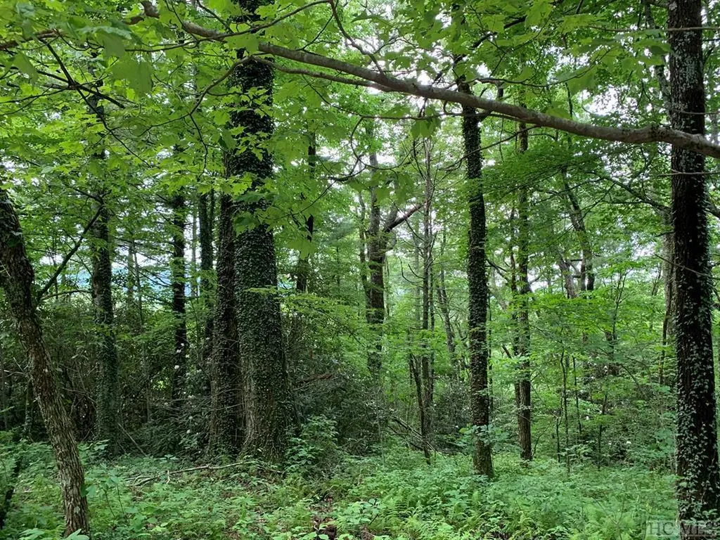 Land for Sale in Cashiers & Highlands