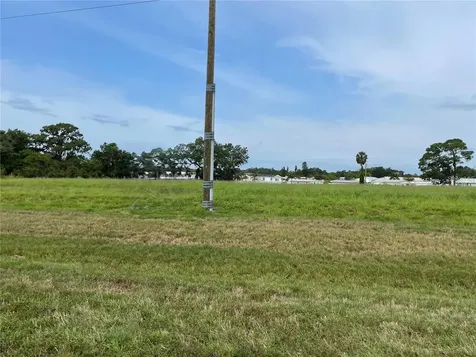 Palmetto
