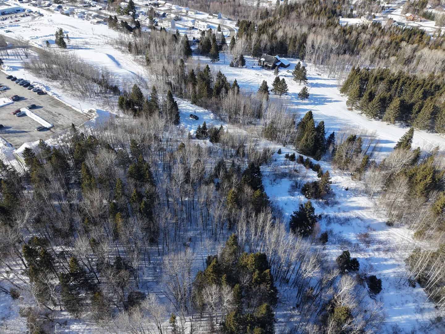 Aroostook Land