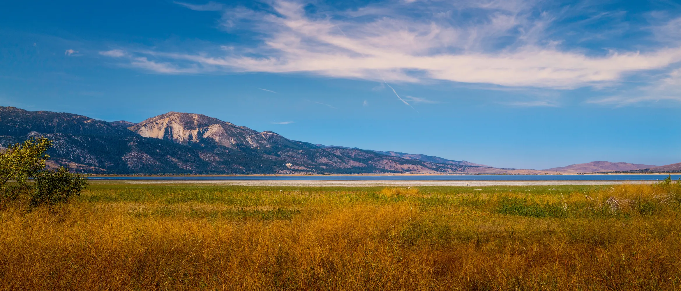 Washoe Valley/City