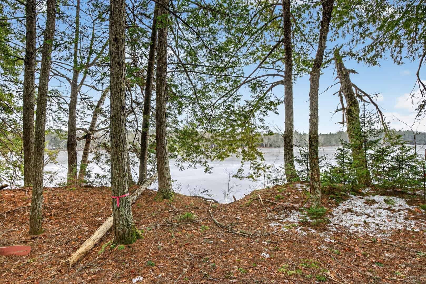 Woods Pond