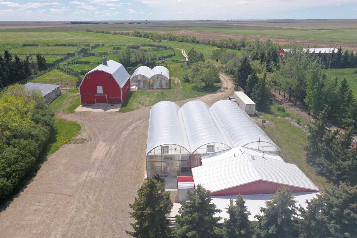 Blumenort SK