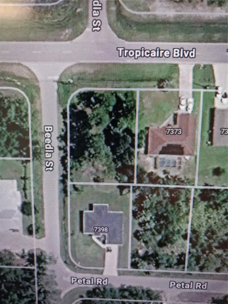 Listings for Wendy Meier