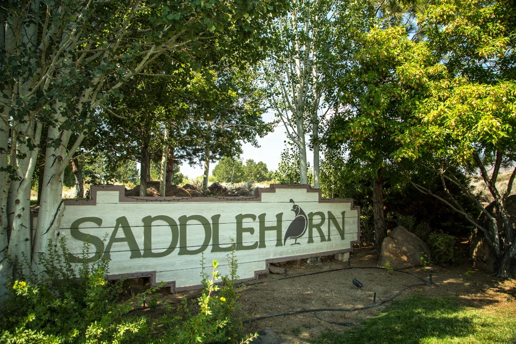 Saddlehorn