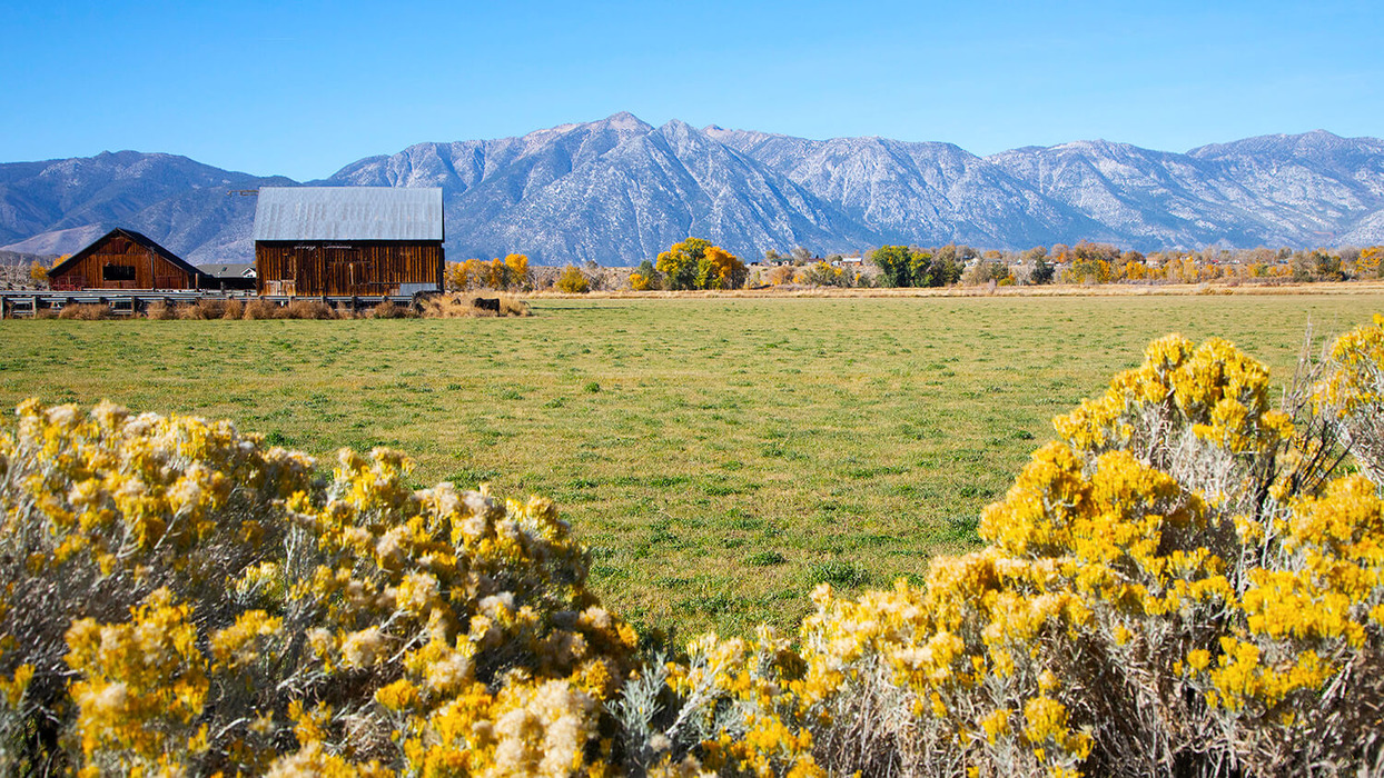 Carson Valley