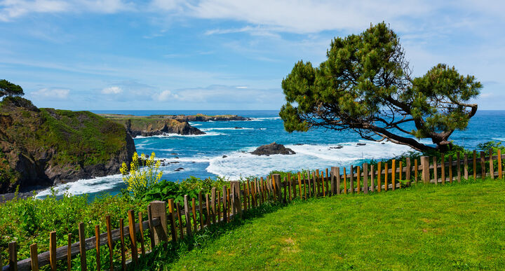 Sea Ranch / Gualala
