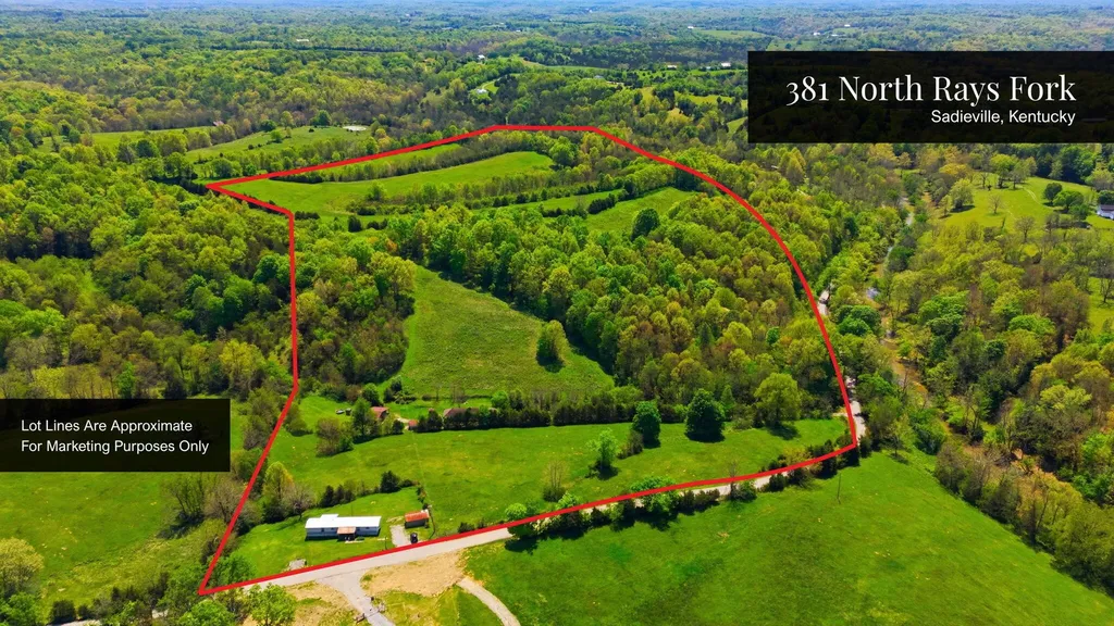 Listings for Judy M Giannasio