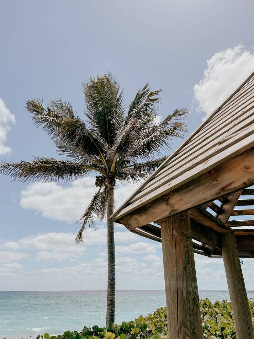 Jupiter Homes For Sale