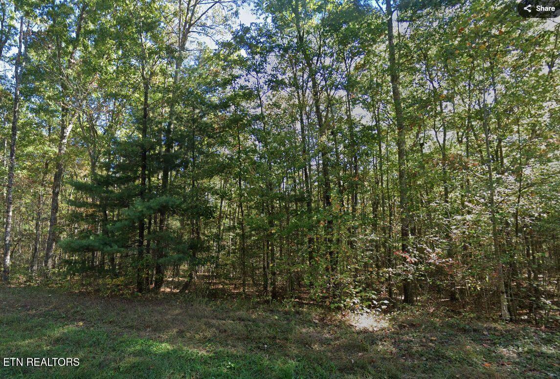 Listings for Diane Hawkins