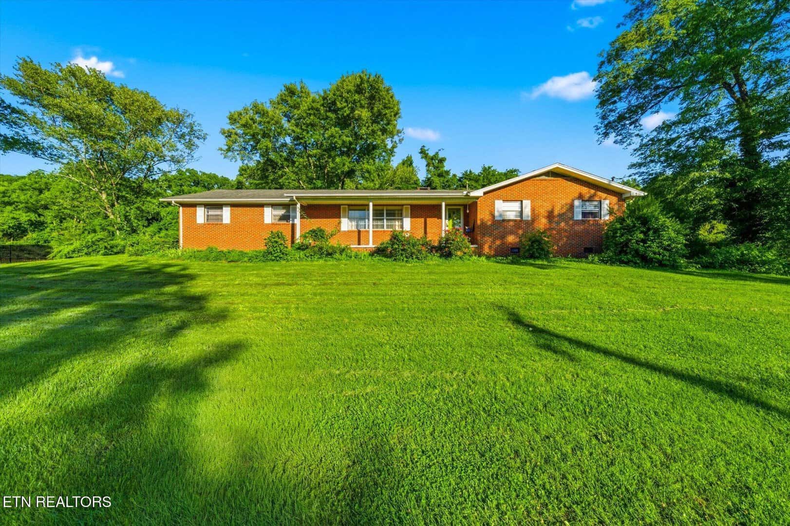 Listings for Noah Mancuso