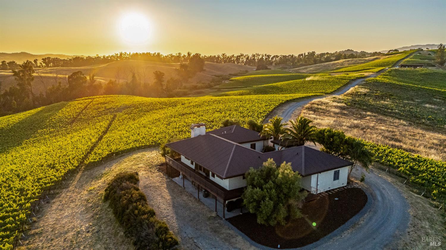 Listings for Shannon Parker