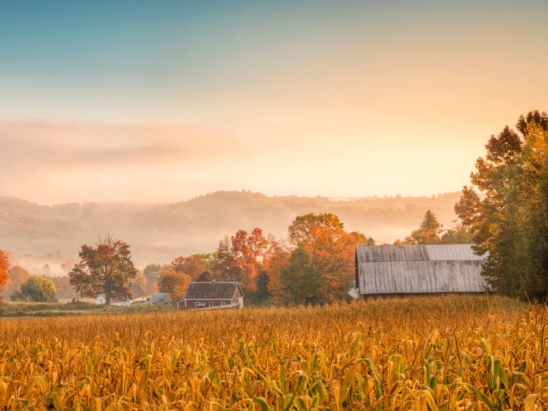 Country Homes