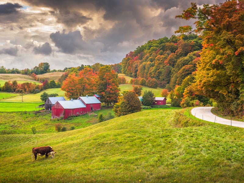 Farms