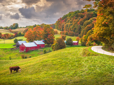 Homes with Barns