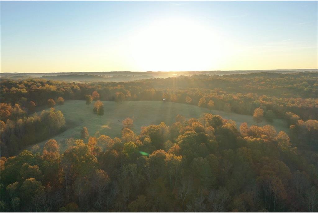 Large Acreage Properties (20+ Acres)