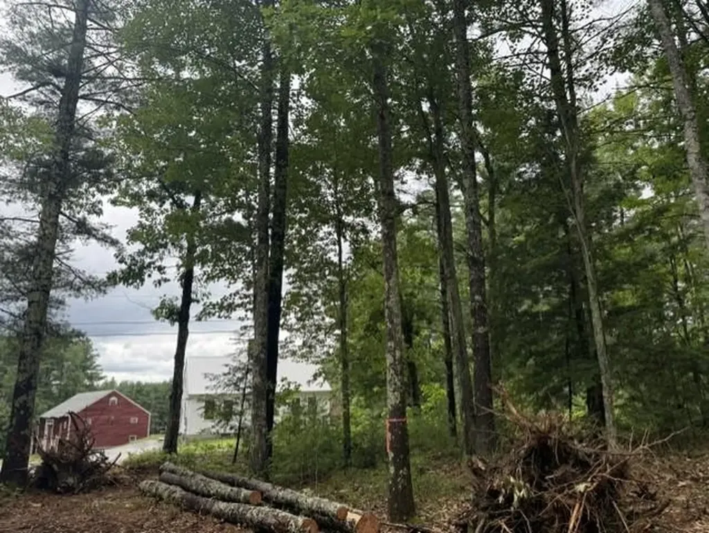 3bd Milford Homes