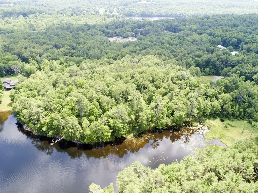 Flying Pond Real Estate for Sale