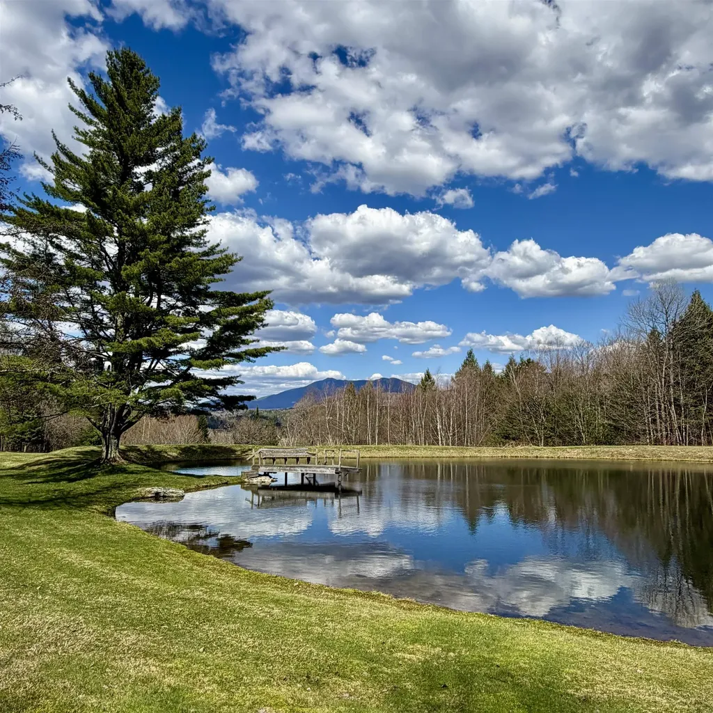 Jericho VT