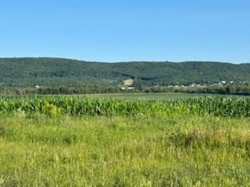 Swanton VT