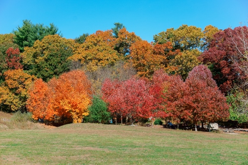 Billerica