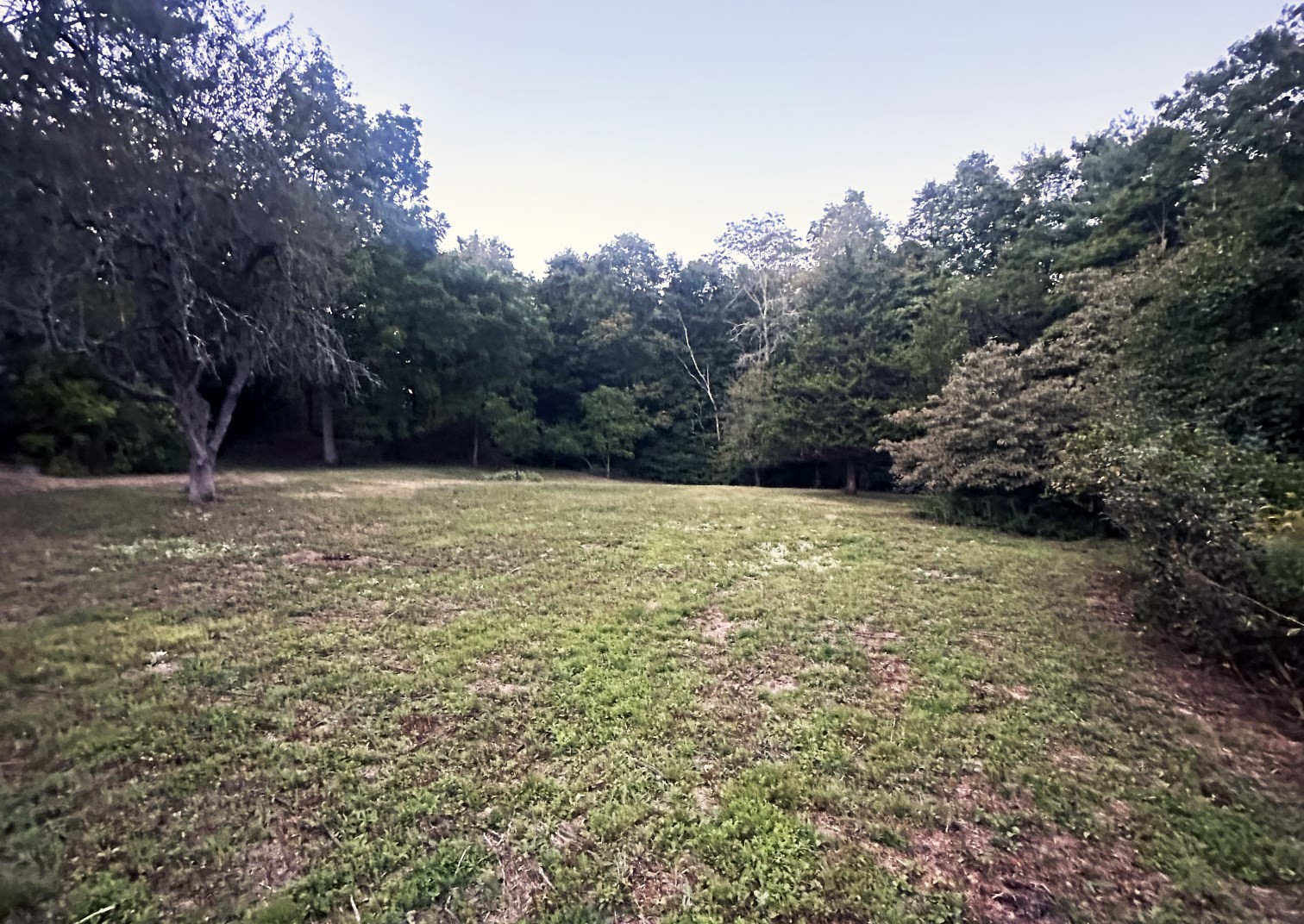Land for Sale in Dover MA