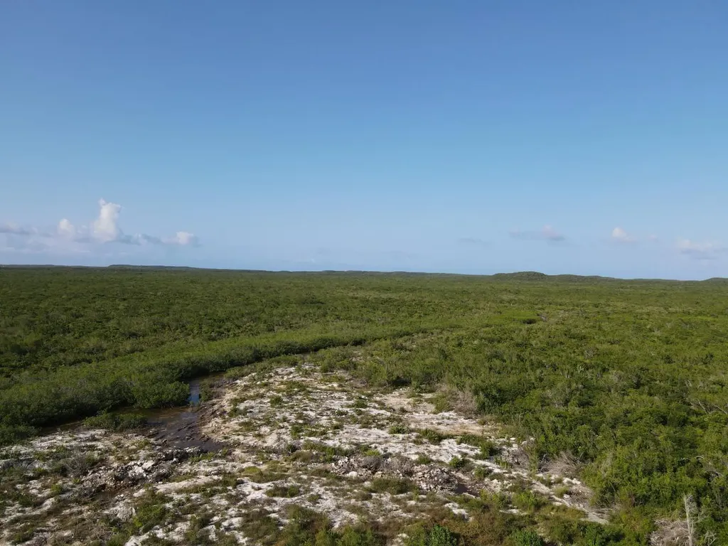 Long Island Beachfront Land