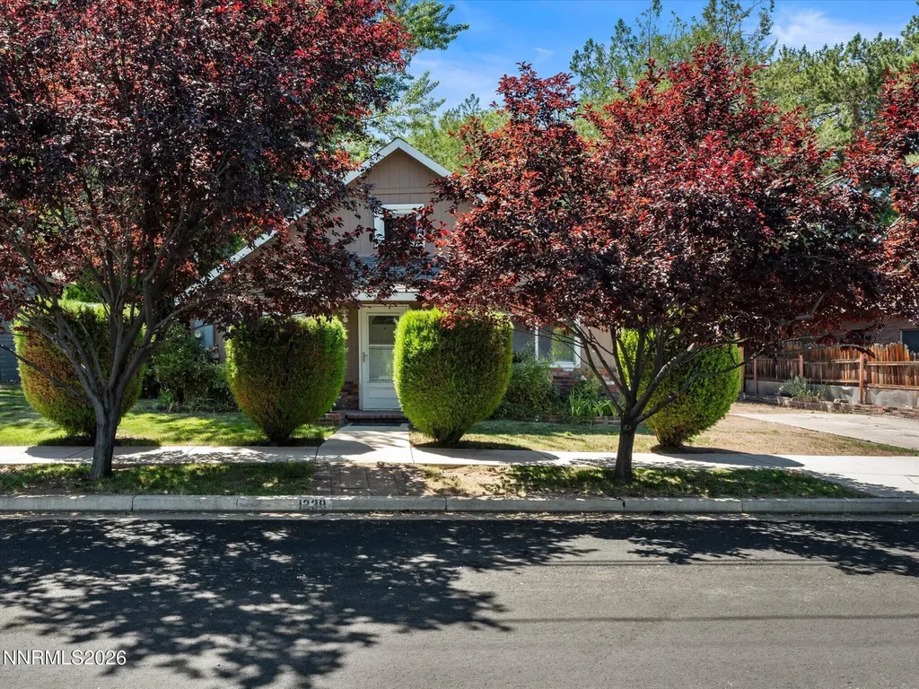 Listings for Carl Jorgensen