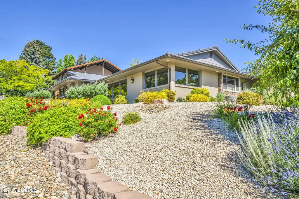 Listings for Dan Ripple