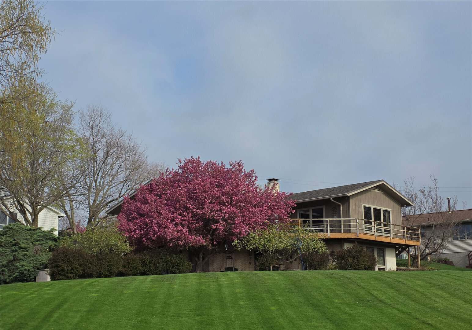 Listings for Joni Eubank