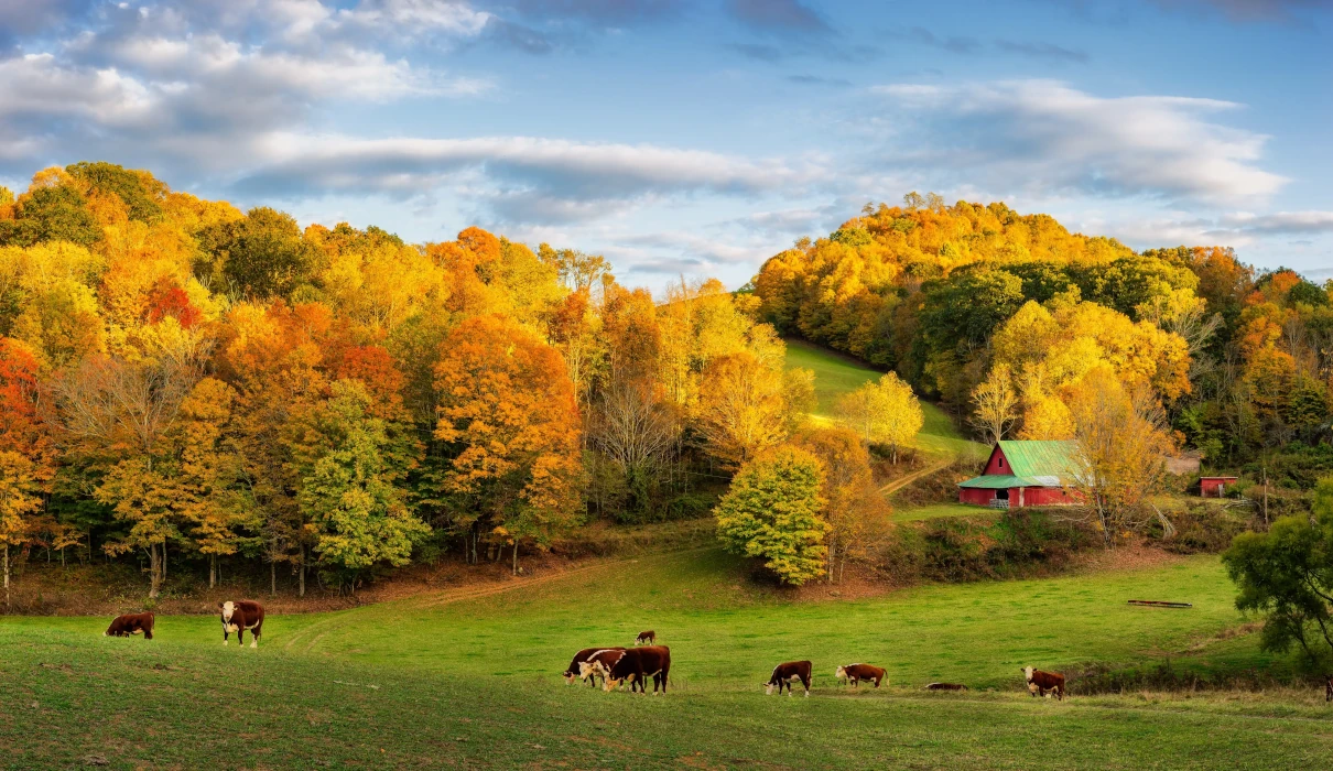 Agri-Business & Commercial