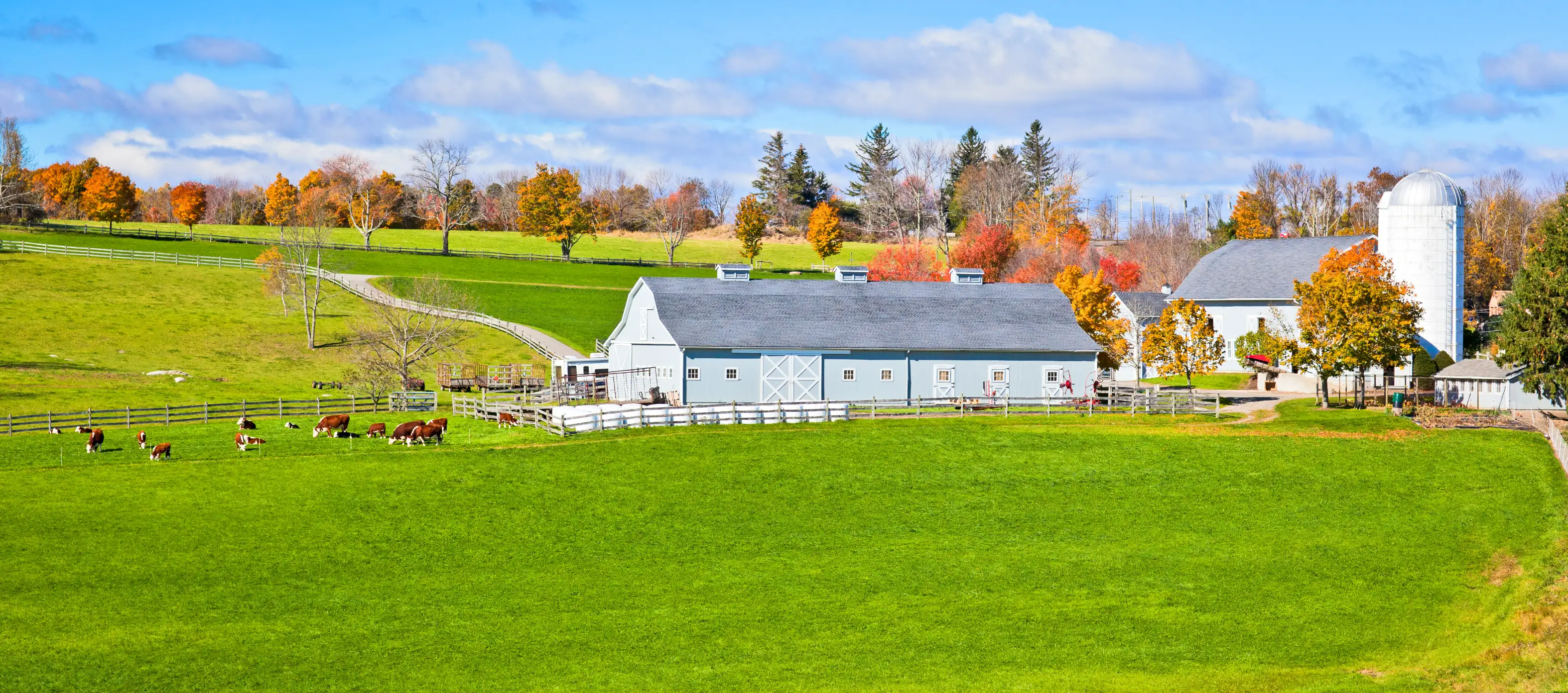 All Farms